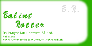 balint notter business card